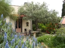 To The Garden