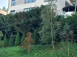 apartma Golovec