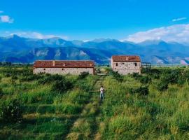 Mestvireni, hotell sihtkohas Thelavi