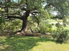 Hill Country Haute n Haus Relax and Renew