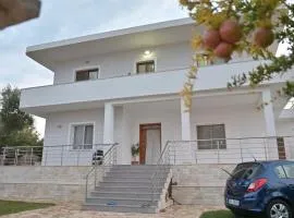 Mana Apartments