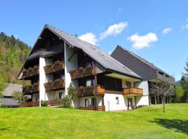 C4 Albmatte-FEWO Sauna, Hallenbad Außenbecken Massagen nebenan, apartmen di Menzenschwand