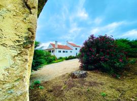 Quinta da Vergueira, hotel en Figueiró dos Vinhos