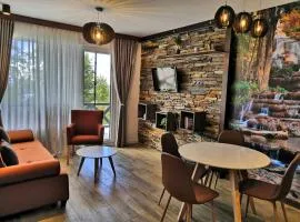 Silver Kop 2 Apartmani