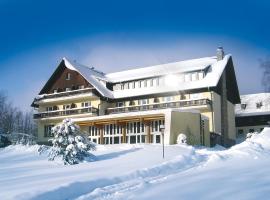 Hotel Haus am Ahorn, ski resort in Schöneck