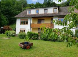 Ferienwohnung, Monteurwohnung Steger, cheap hotel in Frammersbach