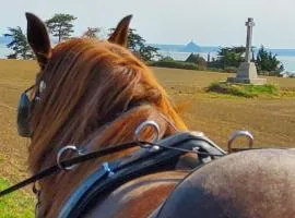 Chez Jollyjune, à moins d'une heure du Mont Saint Michel