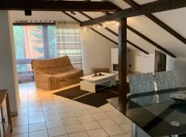 Albi Apartment