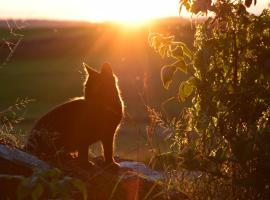 Ferienwohnung Sonnenaufgang, khách sạn giá rẻ ở Amtzell