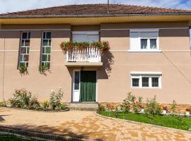 Muzsikás Vendégház, homestay in Lupeni