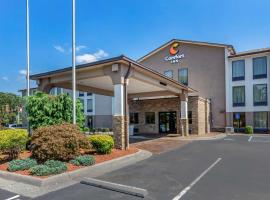 Comfort Inn Roanoke Civic Center, hotel near Science Museum of Western Virginia Hopkins Planetarium, Roanoke