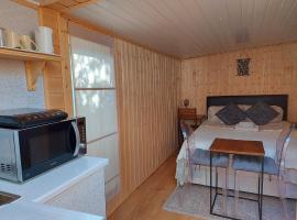 Pretty Studio with a Private Terrace, hotel in London