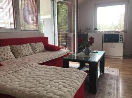 Apartments Premović Nikšić, κατάλυμα με κουζίνα σε Νίκσιτς