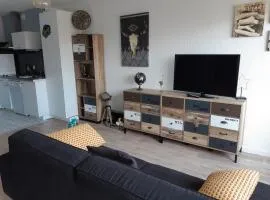 Grand Appartement Luxe avec SAUNA et BAIN LED 50m de l océan avec belle terrasse pour manger CHIEN ADMIS 2 chambres pour 4 pers avec GRANDE BAIGNOIRE BALNEO SPA