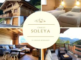 Chalet Soleya – domek górski w mieście Le Grand-Bornand