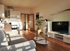 New apartment with garage parking