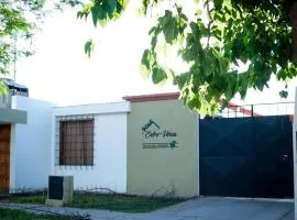 ENTRE VIÑAS