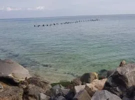 Vip Apartment in the very center of Odessa with sea view