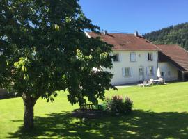 Gîte Léonline sur les hauteurs de Masevaux -au pied des Vosges, hotelli kohteessa Masevaux