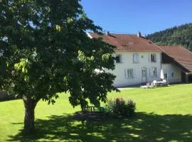 Gîte Léonline sur les hauteurs de Masevaux -au pied des Vosges