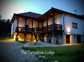 The Carpathian Lodge, vacation rental in Runcu