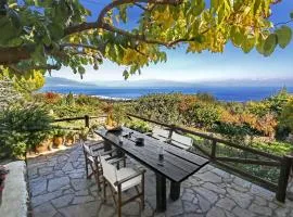 Ampelos Estate