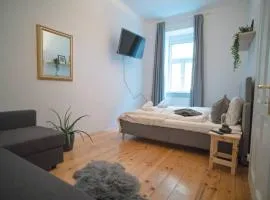 Cosy and Spacious Apartment in the heart of Innsbruck
