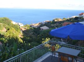 Descobrir Madeira com carro grátis., hotel in Gaula