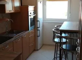 Apartma Vojkovo