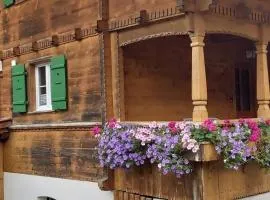 Mountain Village Room