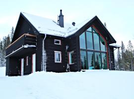 Ottsjö Bear Lodge โรงแรมใกล้ Välliste Ski Lift 4 ในOttsjö