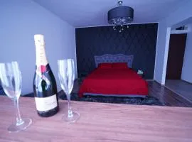 Luxury 1BR studio near Hanul Drumetului Bucharest