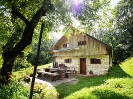 Miha lodge - Mihčevo pleče