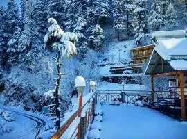 Soham's Chateau De Naggar - Manali