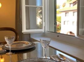 Old Town Charm & Central Location in Rapperswil, apartment in Rapperswil-Jona