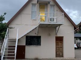 Hi Loft Living, apartment in Newcastle