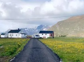 Unique Barnhouse in Amazing Gimsøy in Lofoten