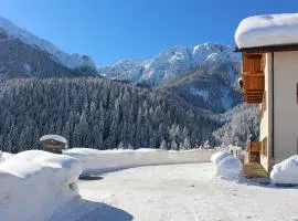 ALMRESIDENZ UNTERRAIN -1 km BY CAR DISTANCE SKI SLOPES KRONPLATZ