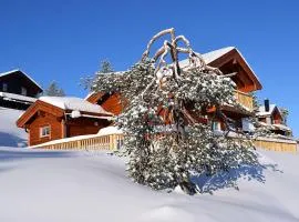 Hyggelig Blikk - Mountain Cabin with Sauna & Ski Access