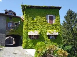 The Ivy House in the Castle