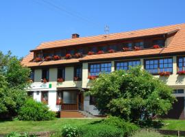 Landgasthaus Engel - Naturparkwirt, gistihús í Höchenschwand