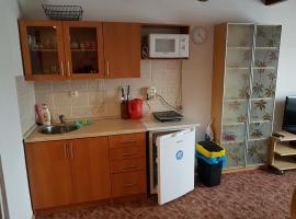 Apartment Příbram, holiday rental in Příbram