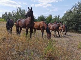 Viesnīca Agroturystyka Klęk Strikovā