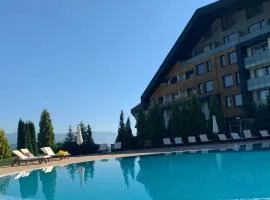 Aspen heights studio 308