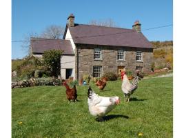 Nantgwynfaen Organic Farm Wales, farm stay in Llandysul