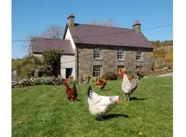 Nantgwynfaen Organic Farm Wales、Llandysulのファームステイ