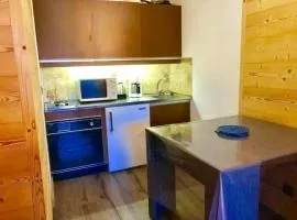 Studio cosy rénové au pied des pistes Corrençon - FR-1-515-71