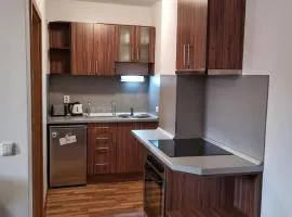 Double Studio near SKI Lift - Bansko