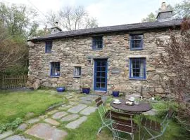 Llwyn Bedw
