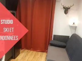 Le 211,ski et randonnée, WIFI, lave linge , ascenceur,parking gratuit